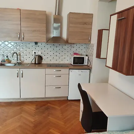 Apartments Fazarinc S Parkiriscem Celje Exterior photo