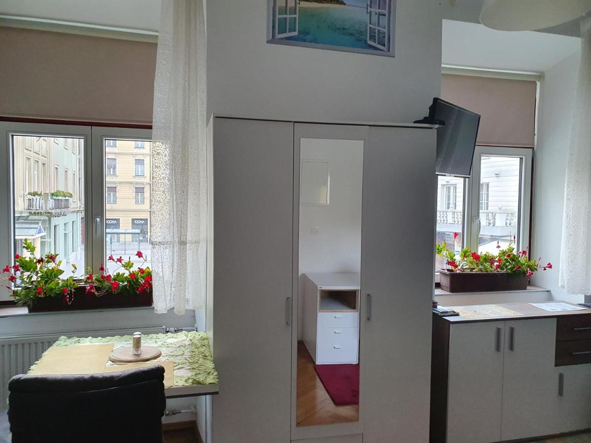 Apartment Fazarinc S Parkiriscem