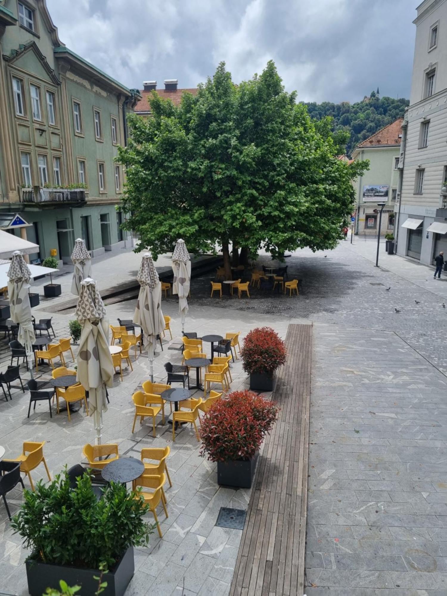Fazarinc S Parkiriscem * Celje
