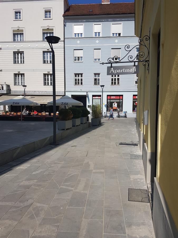 Apartment Fazarinc S Parkiriscem