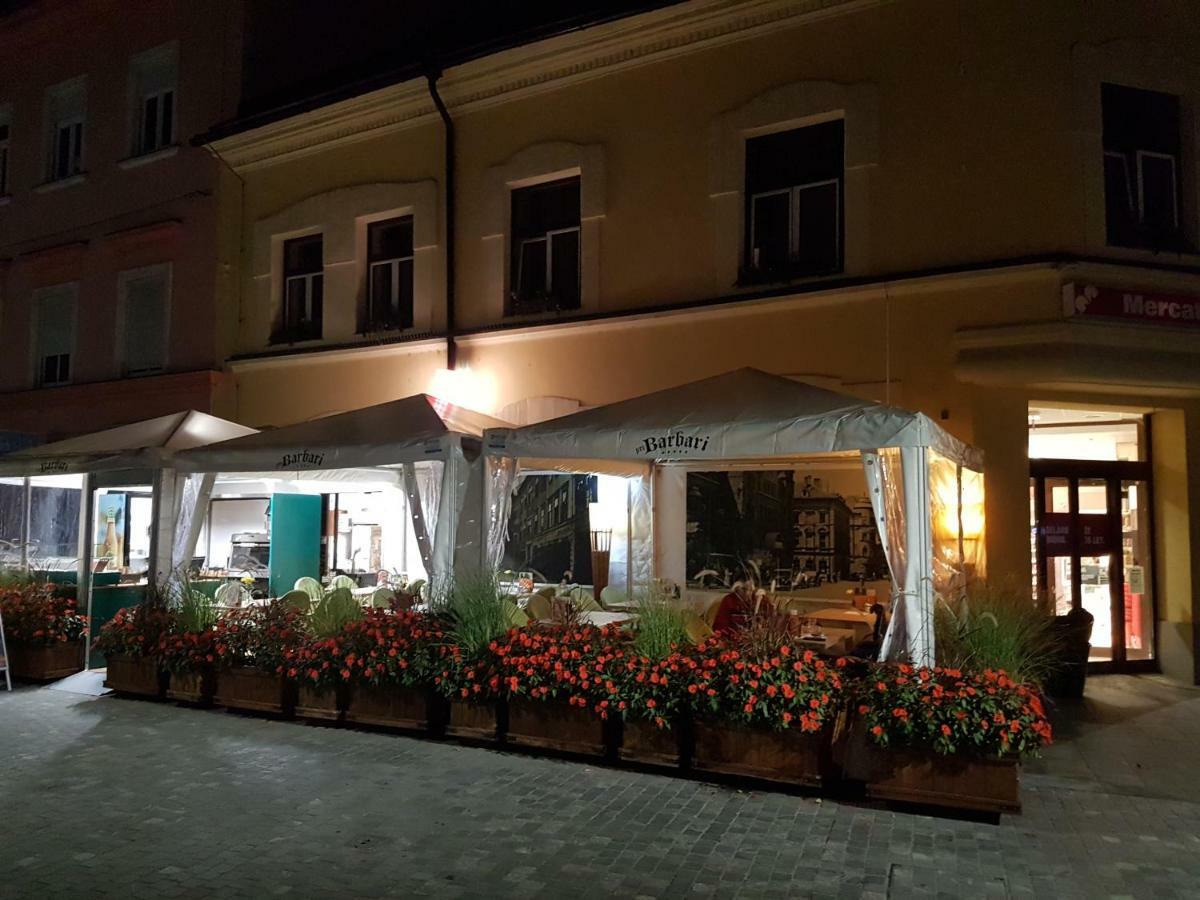 Apartment Fazarinc S Parkiriscem *